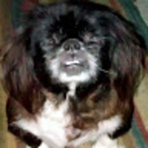 Meet your Posher, Mikena